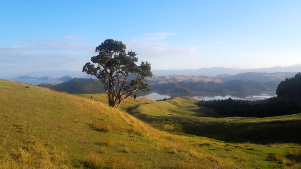 GOODBYE NEW ZEALAND |&nbsp;COROMANDEL