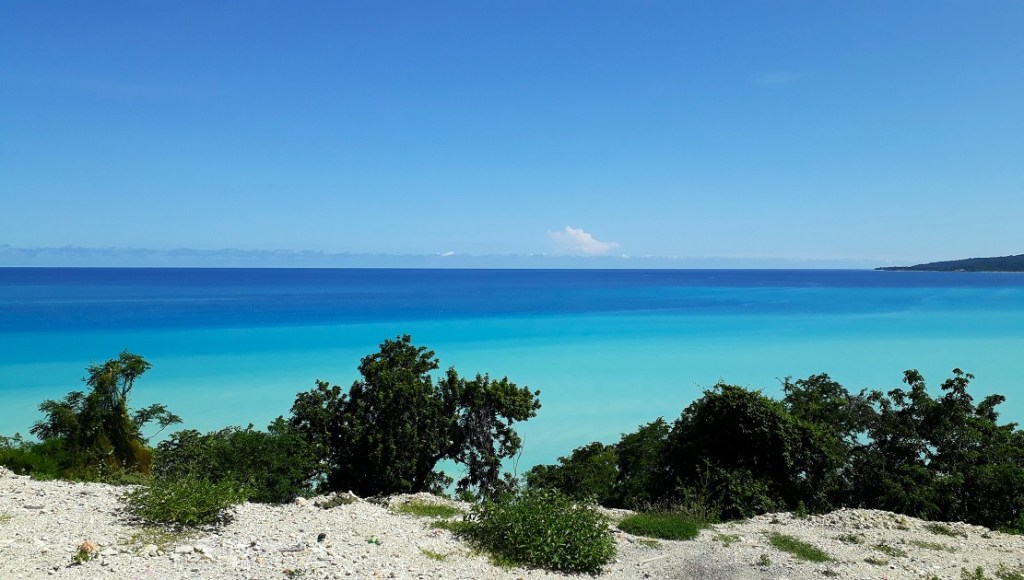 FINDING HIDDEN GEMS IN WEST&nbsp;TIMOR