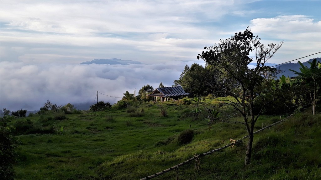 THE ULTIMATE COFFEE TRIP TO&nbsp;TORAJA
