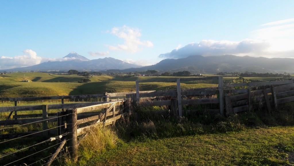 FROM AUCKLAND TO NEW&nbsp;PLYMOUTH