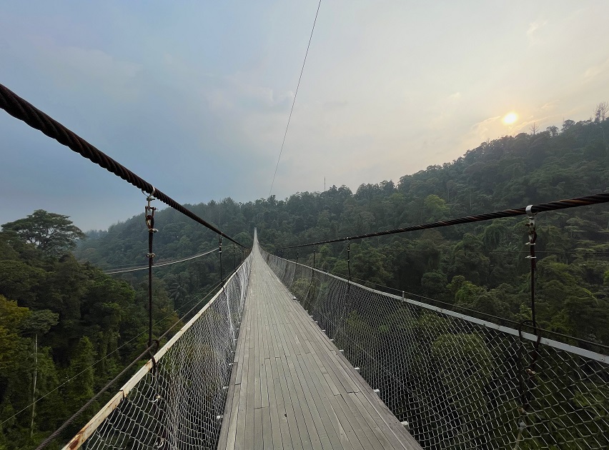 TRAVELLING WITHOUT MOVING | FROM BOGOR TO&nbsp;BOGOR