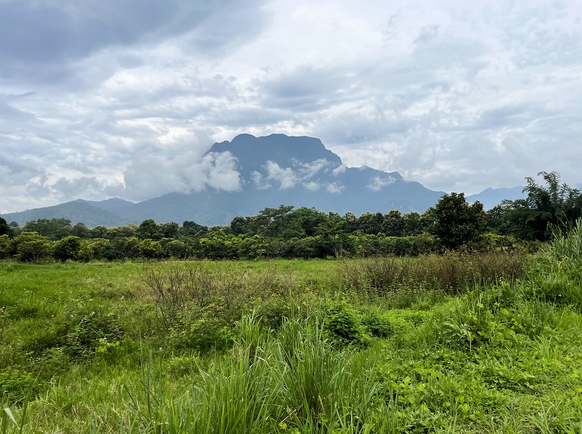 5 THOUGHT ON WHY TO SPEND A WEEK IN CHIANG&nbsp;DAO